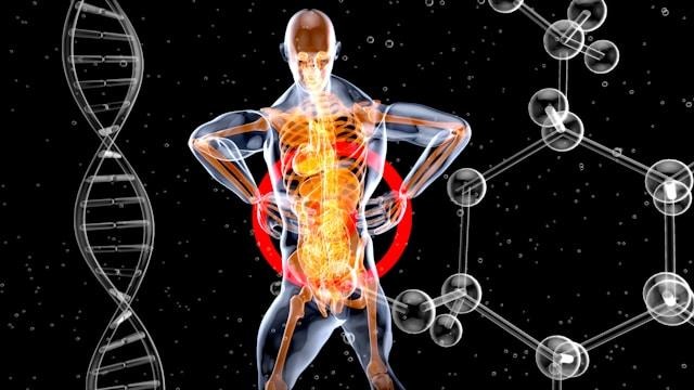 Body Techniques